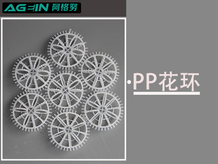 PP“拉西环”简介